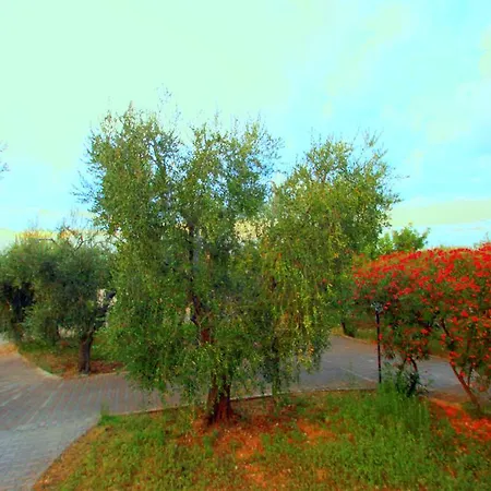 Vakantiehuis Casa Rosa